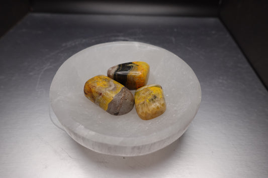 Bumble Bee Jasper